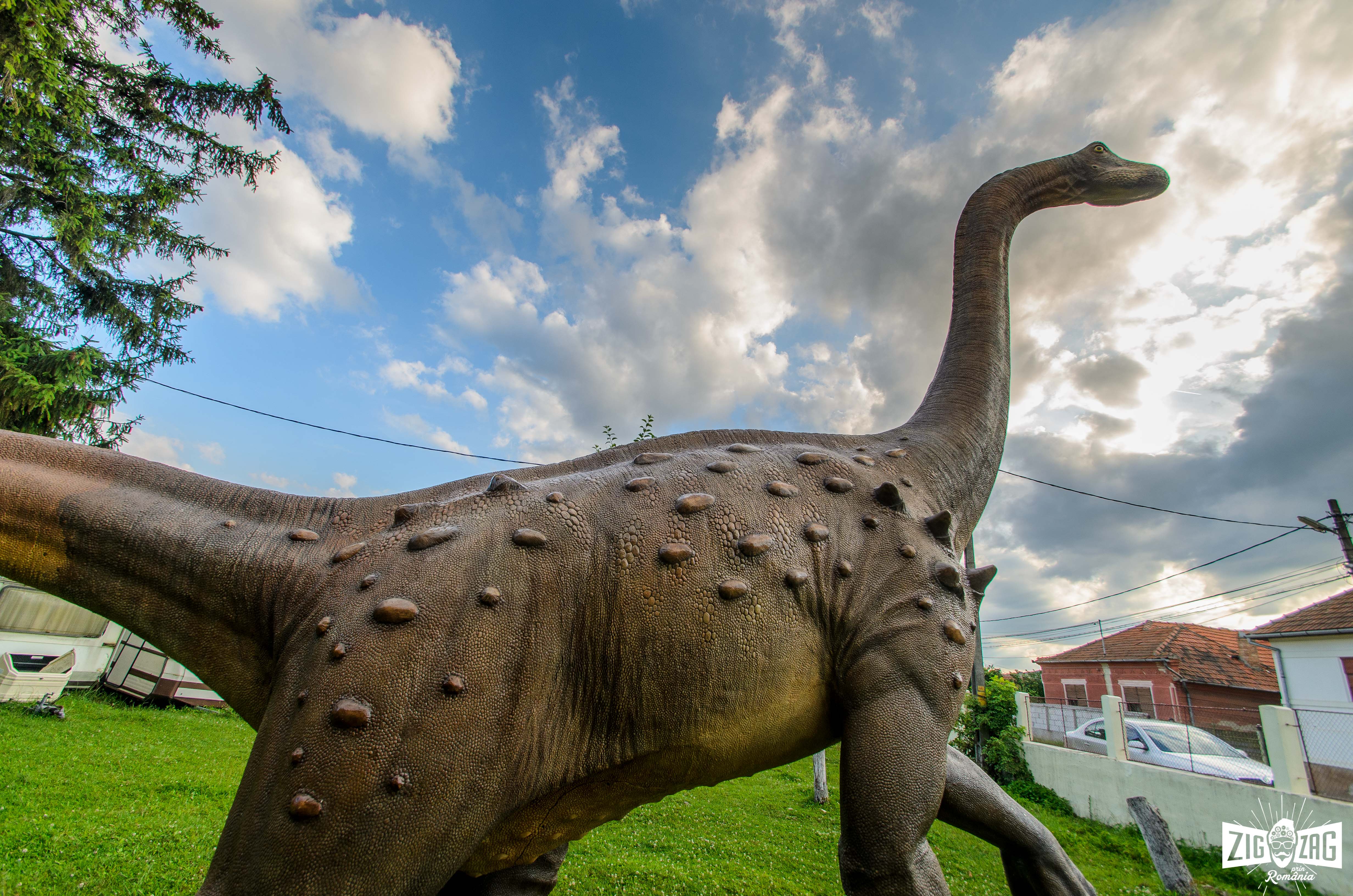 muzeul dinozaurilor dinozaur