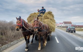 Oamenii gospodari – cea mai mare zestre a Țarii Oașului