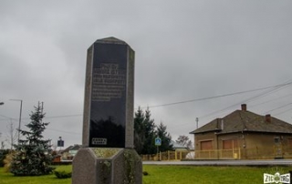 Diversitatea județului Satu Mare ar ﬁ incompletă dacă n-am vorbi despre șvabi. Din 1738, de când familia Károlyi a fondat cele 23 de colonii șvăbești și până în prezent, șvabii au contribuit prin cultura și obiceiurile lor la a crea o imagine originală Sătmarului.