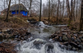 Vultoarea din Certeze– la o „învârtită” cu apa