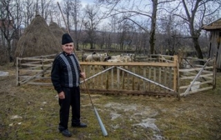 Trambițaș din Tara Oasului