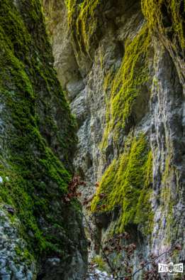 Pereții ce se înghesuie în turiști – Canionul din Valea Sighiștelului